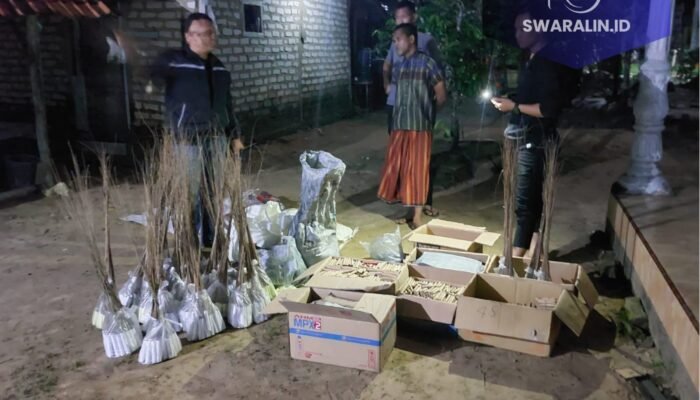 Jelang Lebaran Polres Bangkalan Berhasil Amankan Ribuan Petasan dan 2 Kwintal Bubuk Mercon 
