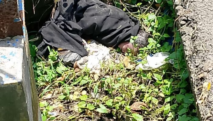 Warga Mojoparon Rembang Geger Usai Warga Pencari Rumput Temukan Bayi Di Bungkus Kain Hitam Selokan Air