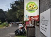 Menikmati Alam dan Sajian Khas di Kedai KRENYEZ, Permata Tersembunyi di Alas Siman