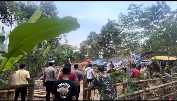 Polres Pasuruan Bongkar Arena Judi Sabung Ayam di Pucangsari, Lokasi Langsung Dimusnahkan