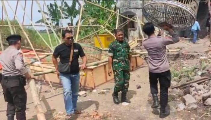 Polres Pasuruan Bongkar Dua Arena Sabung Ayam, Pemilik Lahan Dipaksa Tanda Tangani Surat Pernyataan