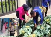Di Tengah Mahalnya Sayuran, Sat Polair Pasuruan Jadi Penolong Warga Lewat Panen Sendiri