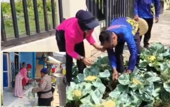 Di Tengah Mahalnya Sayuran, Sat Polair Pasuruan Jadi Penolong Warga Lewat Panen Sendiri