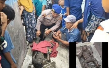 Diduga Terseret Arus Sungai: Balita Hilang di Pasuruan Ditemukan Tewas