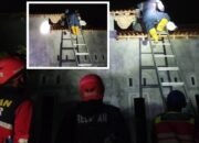 Sarang Vespa Raksasa di Gempol Dievakuasi, Damkar Pasuruan Cegah Ancaman Sengatan