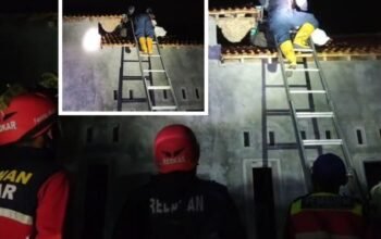 Sarang Vespa Raksasa di Gempol Dievakuasi, Damkar Pasuruan Cegah Ancaman Sengatan